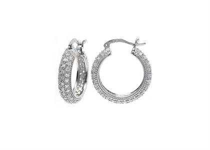 Rhodium Plated | Fashion Earrings